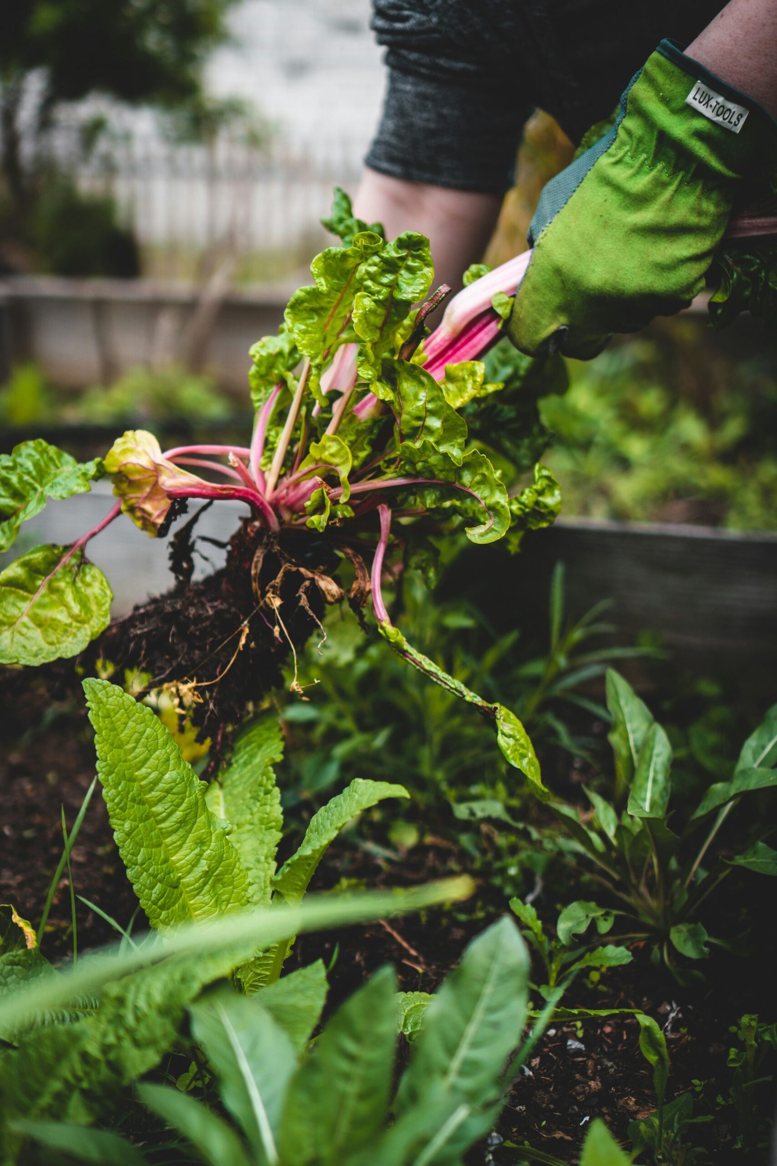 Top Rainwater Harvesting Systems for Off-Grid Homes